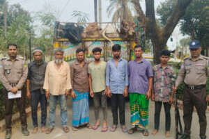 Nineteen Cattle Recovered in Gazipur Heist