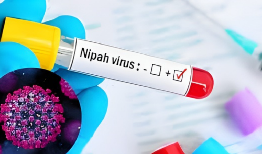 nipah virus spreads to 35 districts hospitals instructed to remain alert "Nipah virus spreads to 35 districts; hospitals instructed to remain alert."