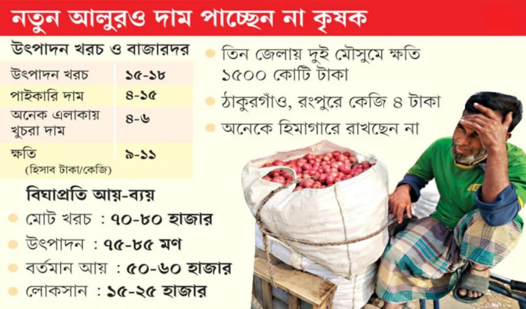 Northern Potato Farmers Face Mounting Losses 3 northern potato farmers face mounting losses Northern Potato Farmers Face Mounting Losses