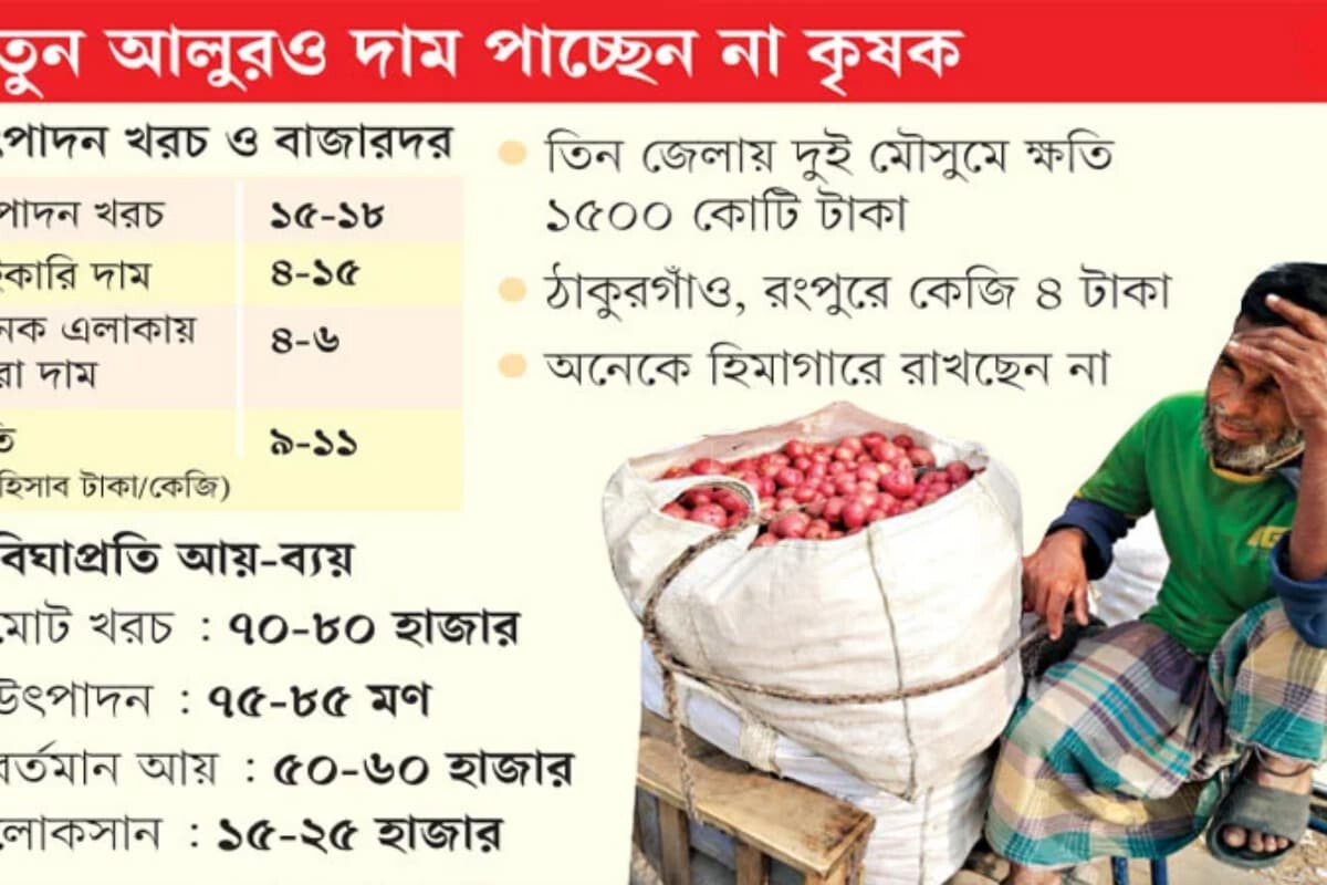 Northern Potato Farmers Face Mounting Losses