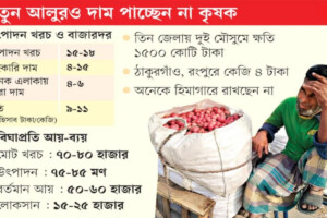 Northern Potato Farmers Face Mounting Losses