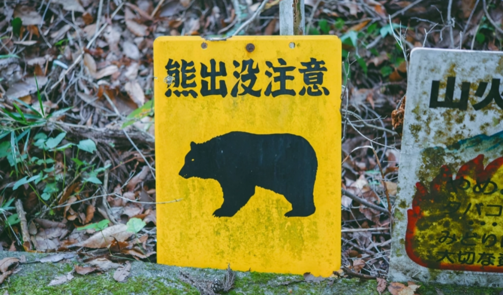 One Dead, One Missing in Japan Following Bear Attack 2 one dead one missing in japan following bear attack One Dead, One Missing in Japan Following Bear Attack