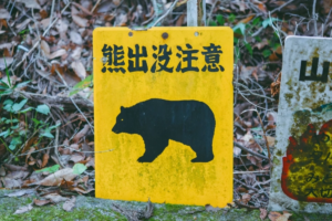 One Dead, One Missing in Japan Following Bear Attack
