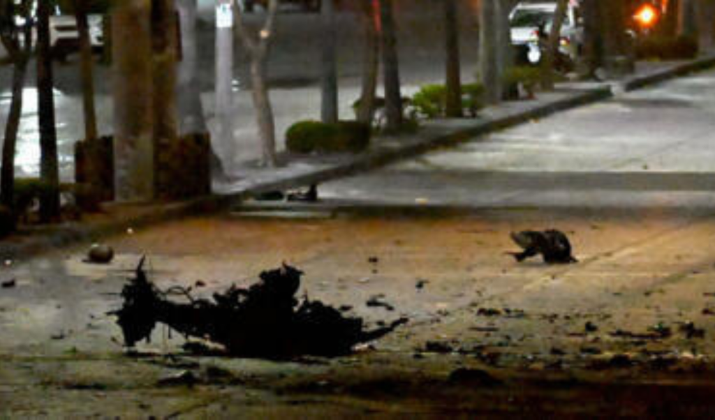 one dead several injured in explosion at busy ecuador shopping centre One Dead, Several Injured in Explosion at Busy Ecuador Shopping Centre