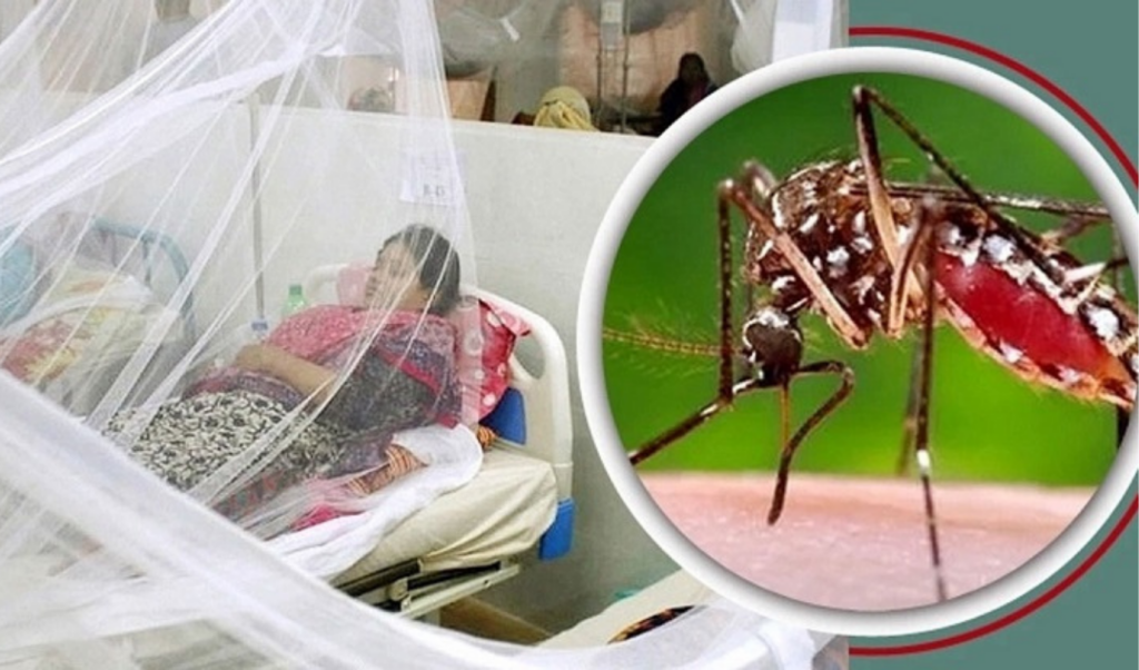 one dengue death in 24 hours 633 hospitalised One Dengue Death in 24 Hours, 633 Hospitalised
