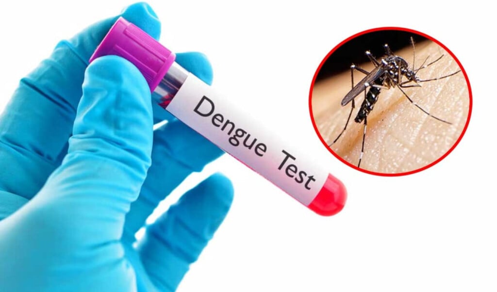 one more death from dengue 374 hospitalised nationwide One More Death from Dengue; 374 Hospitalised Nationwide