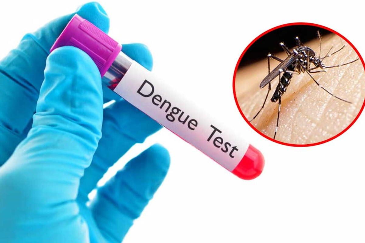One More Death from Dengue; 374 Hospitalised Nationwide