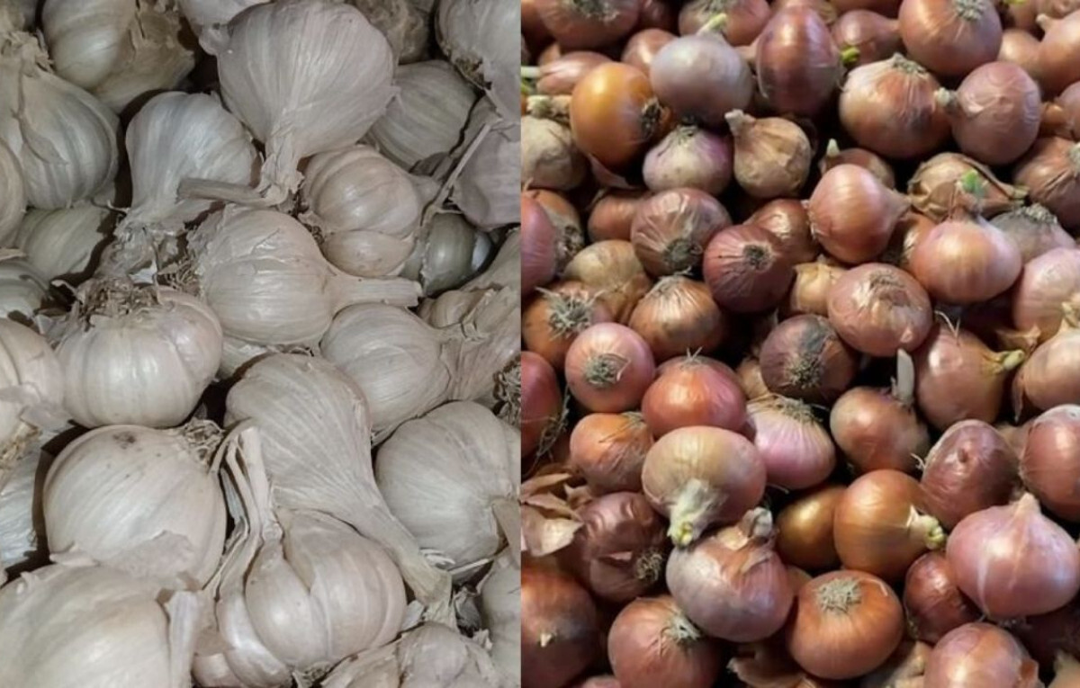 Onion and Garlic Prices Plunge in Hili Market