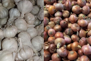 Onion and Garlic Prices Plunge in Hili Market