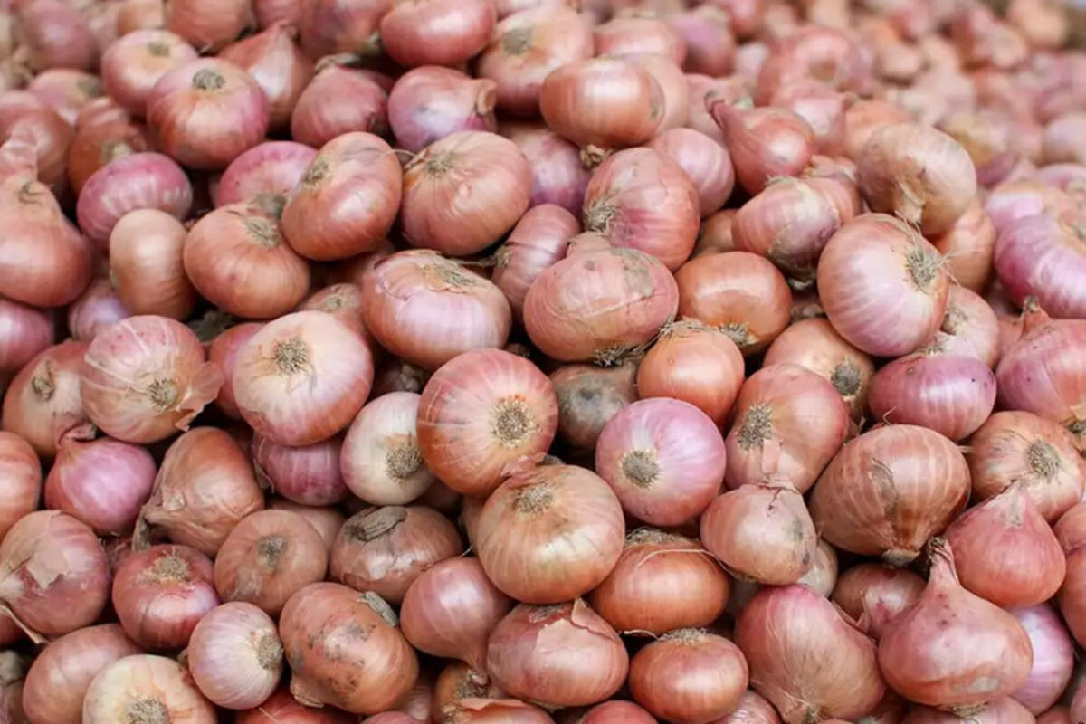 Onion Prices Soar 50 Percent in a Week