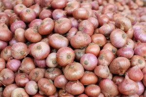Onion Prices Soar 50 Percent in a Week
