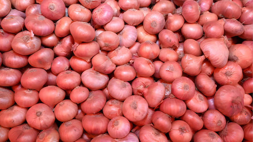 onion prices soar to 150 takagovernment rushes to open imports Onion Prices Soar to 150 Taka—Government Rushes to Open Imports!