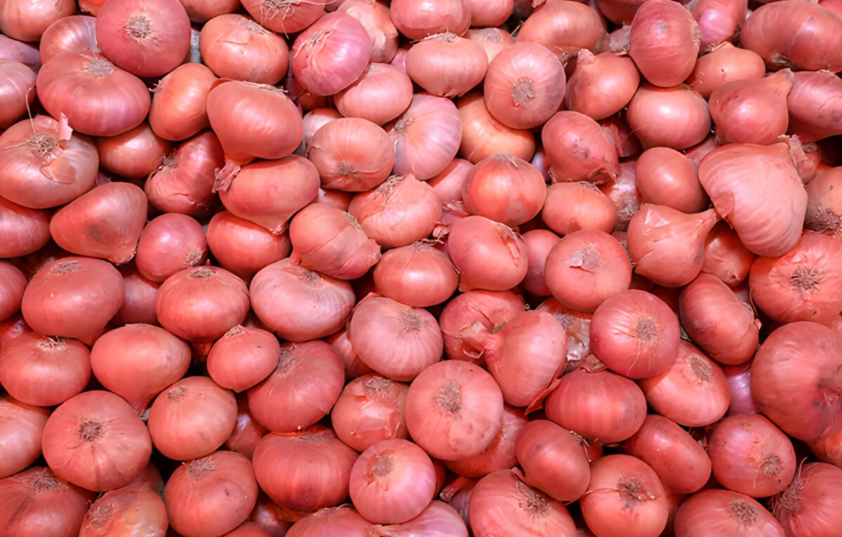 Onion Prices Soar to 150 Taka—Government Rushes to Open Imports!