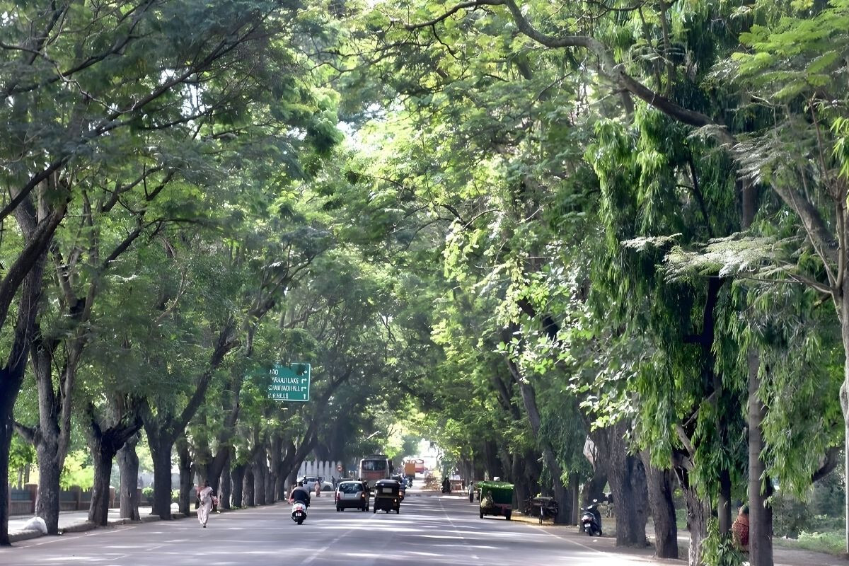 Only ministers will reside in the ministerial enclave, with 71 houses designated