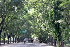 Only ministers will reside in the ministerial enclave, with 71 houses designated