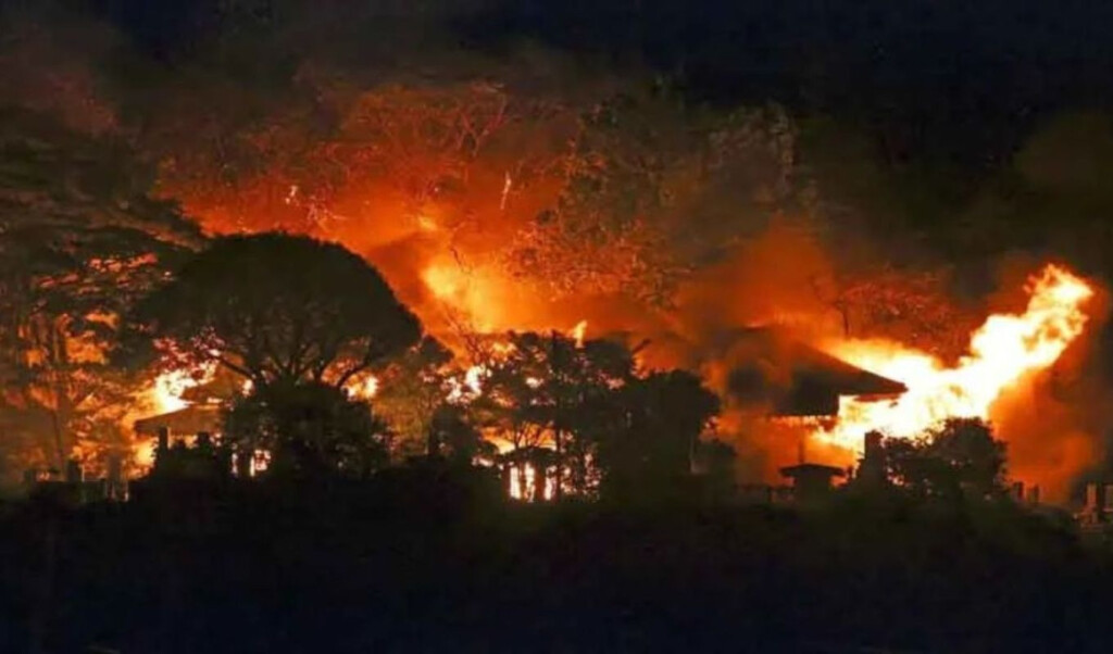 over 170 buildings destroyed in devastating fire in oita japan Over 170 Buildings Destroyed in Devastating Fire in Oita, Japan