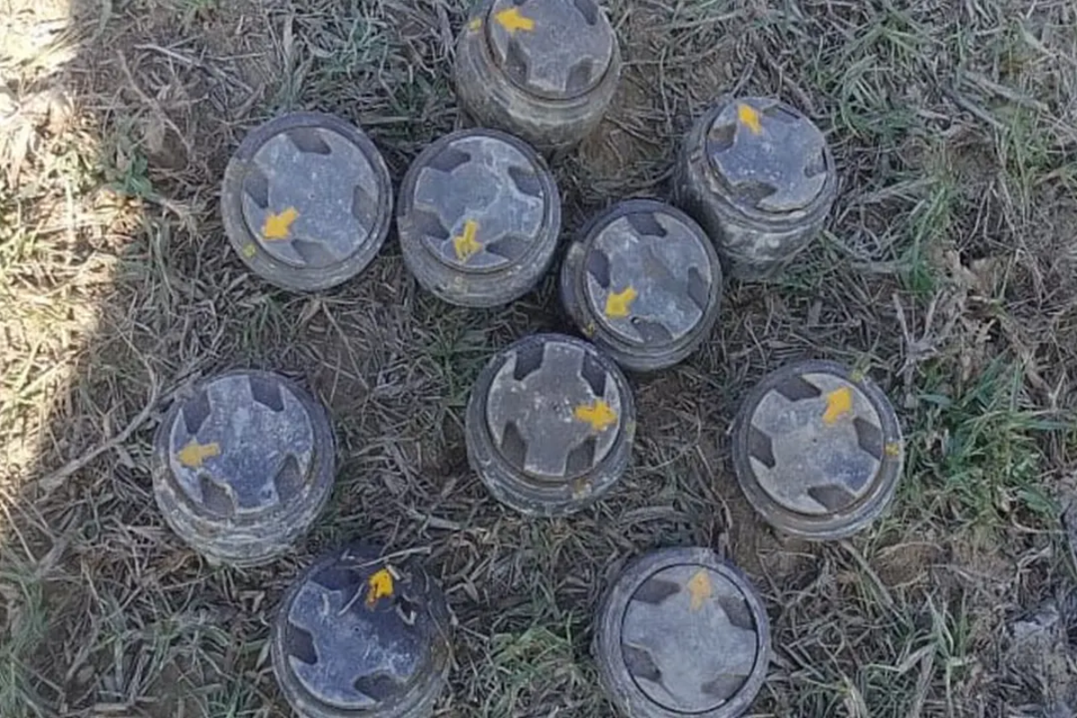 Over Fifty Landmine Plates Recovered at Border