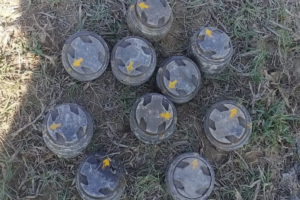 Over Fifty Landmine Plates Recovered at Border