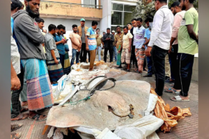 Over Twelve Mounds of Illegal Shaplapata Fish Seized from Dhaka–Baufal Passenger Bus