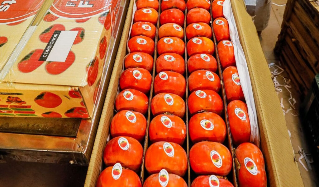 persimmon once a luxury fruit now widely available why prices are falling "Persimmon, Once a 'Luxury Fruit', Now Widely Available: Why Prices Are Falling"