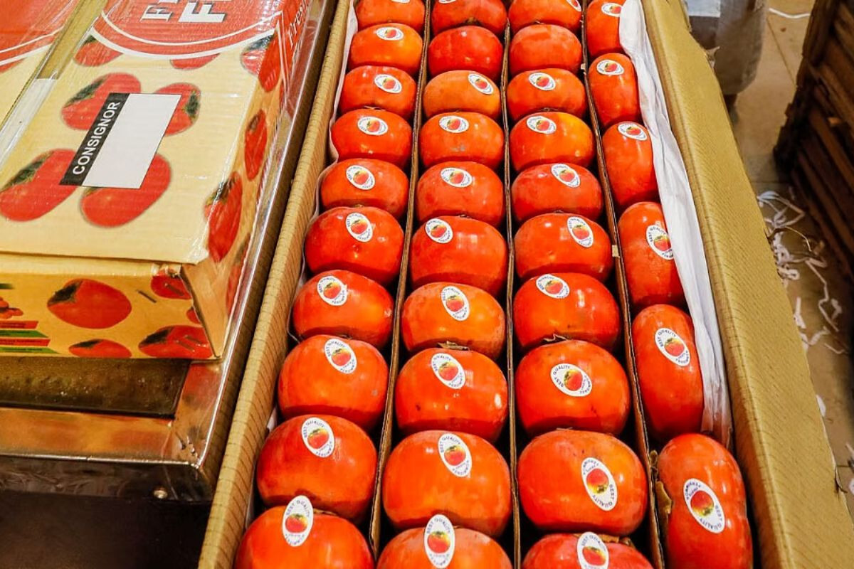 “Persimmon, Once a ‘Luxury Fruit’, Now Widely Available: Why Prices Are Falling”