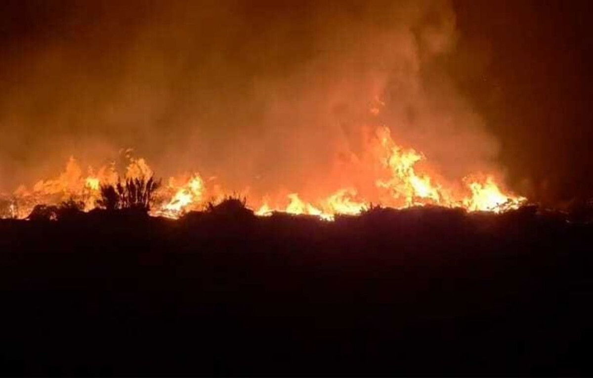 Persistent Blaze Engulfs Matarbari Power Plant Storage Yard