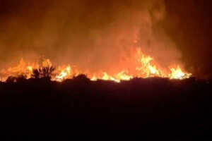 Persistent Blaze Engulfs Matarbari Power Plant Storage Yard