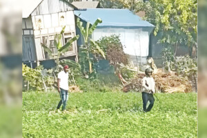 Police Release List of 3,000 Armed Criminals Ahead of Vote