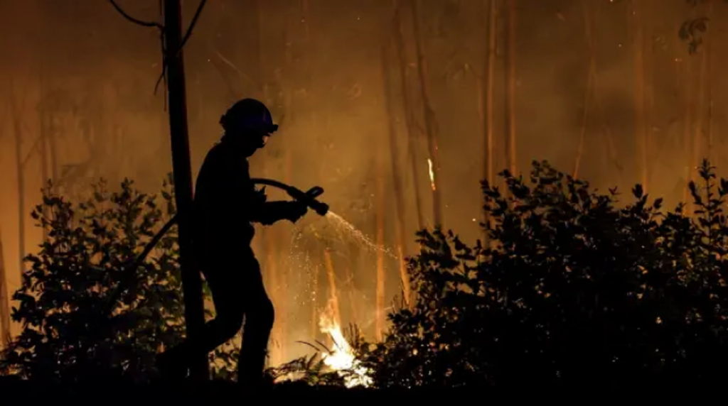 portugal wildfires claim third victim authorities Portugal Wildfires Claim Third Victim: Authorities