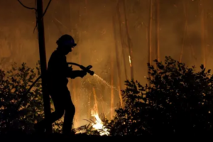 Portugal Wildfires Claim Third Victim: Authorities