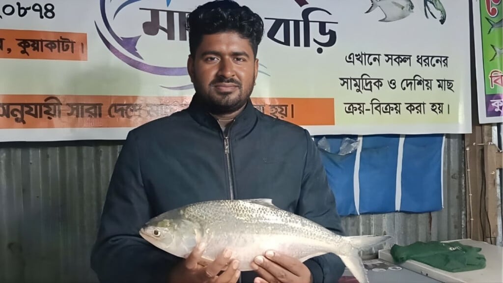 prized hilsa catch fetches record price in kuakata Prized Hilsa Catch Fetches Record Price in Kuakata