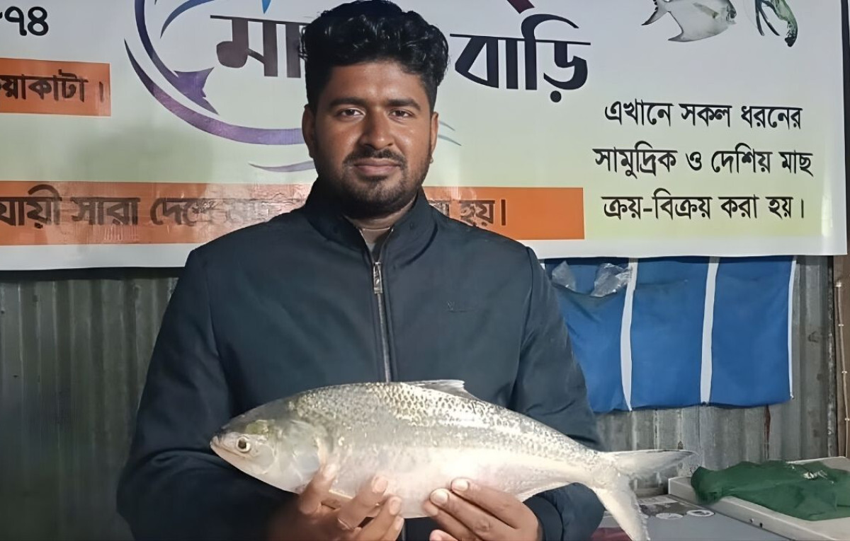 Prized Hilsa Catch Fetches Record Price in Kuakata