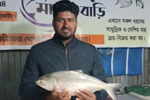 Prized Hilsa Catch Fetches Record Price in Kuakata