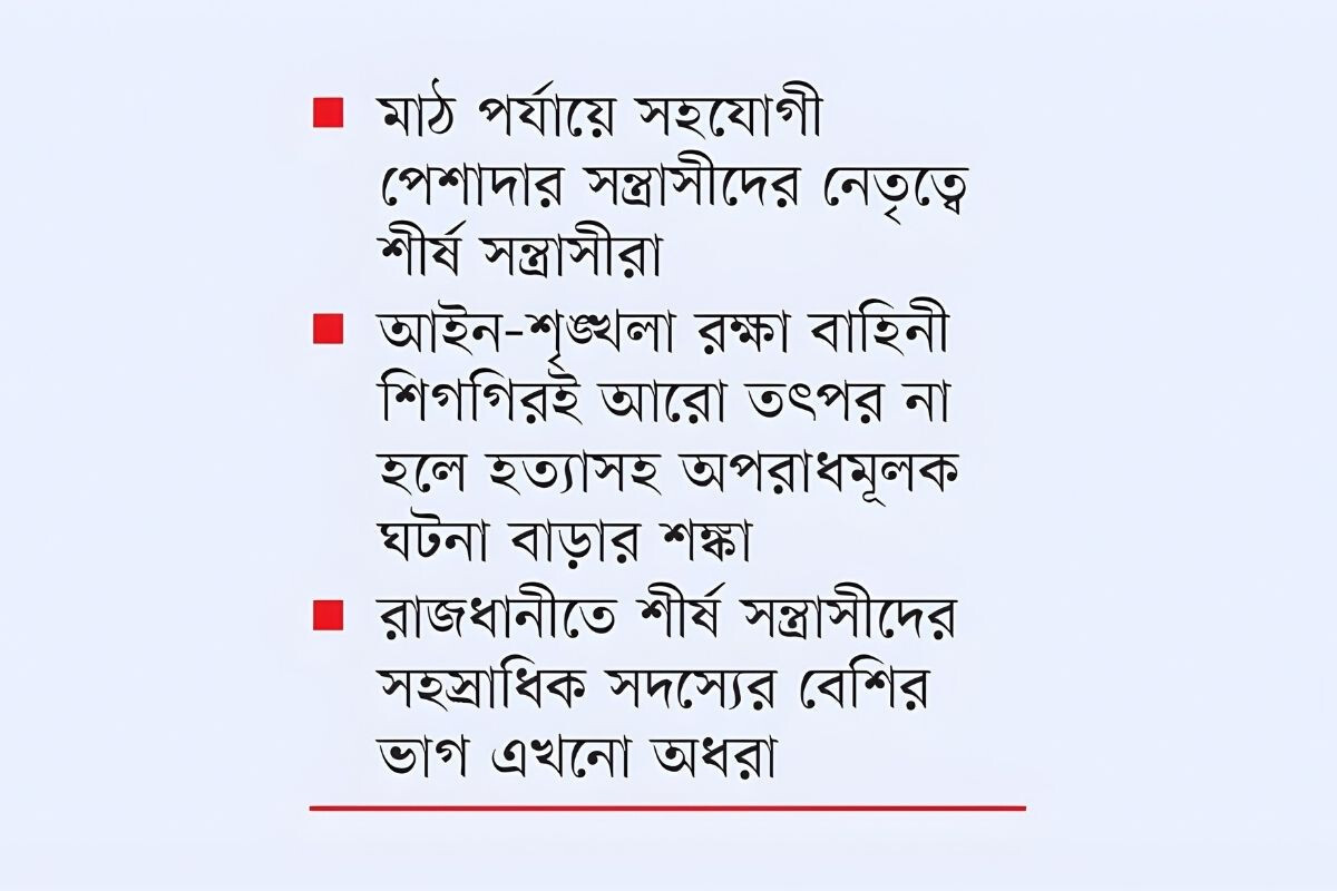 Professional shooters are ready for action