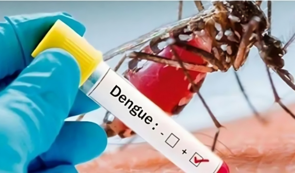 record dengue deaths in a single day 12 fatalities reported Record Dengue Deaths in a Single Day: 12 Fatalities Reported