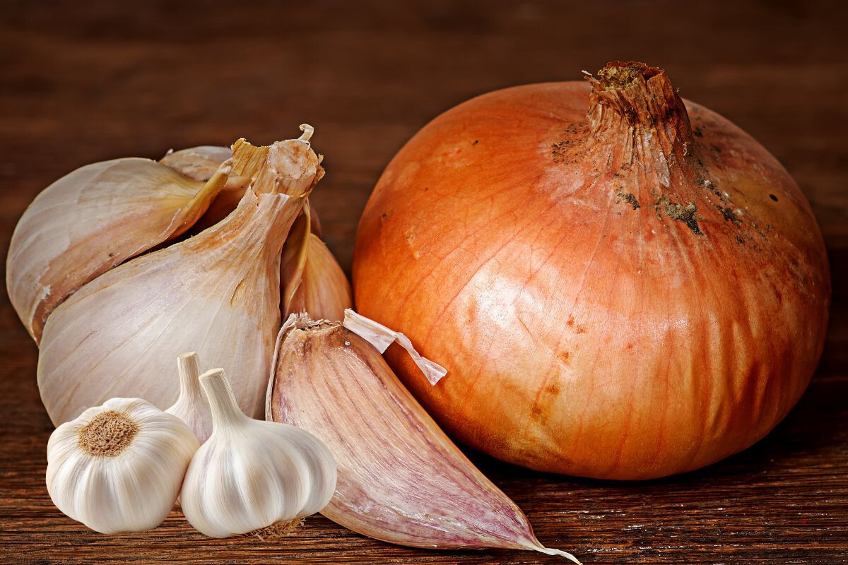 Regular Consumption of Onion and Garlic May Reduce Cancer Risk