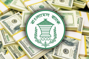 Remittance Inflows Rise 21% by Mid-February