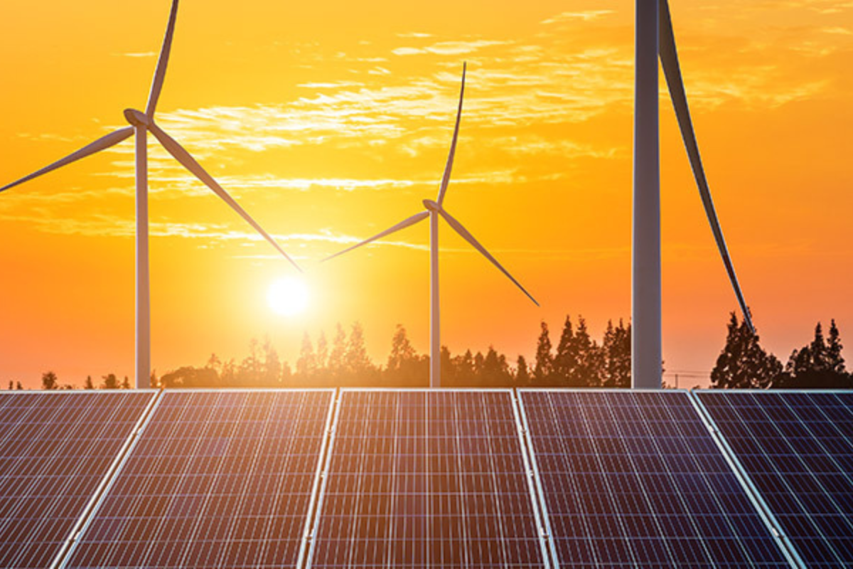 Renewable Energy Growth Slows Due to Policy Shifts: IEA