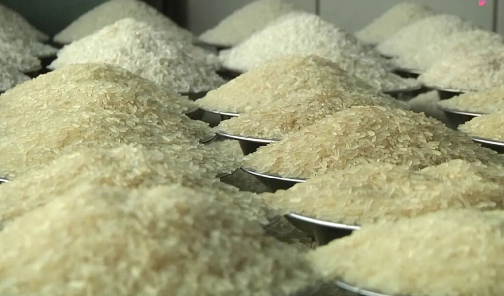rice prices falling in asian markets Rice prices falling in Asian markets