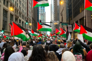 Rising Anti-Israel Sentiment Among Americans