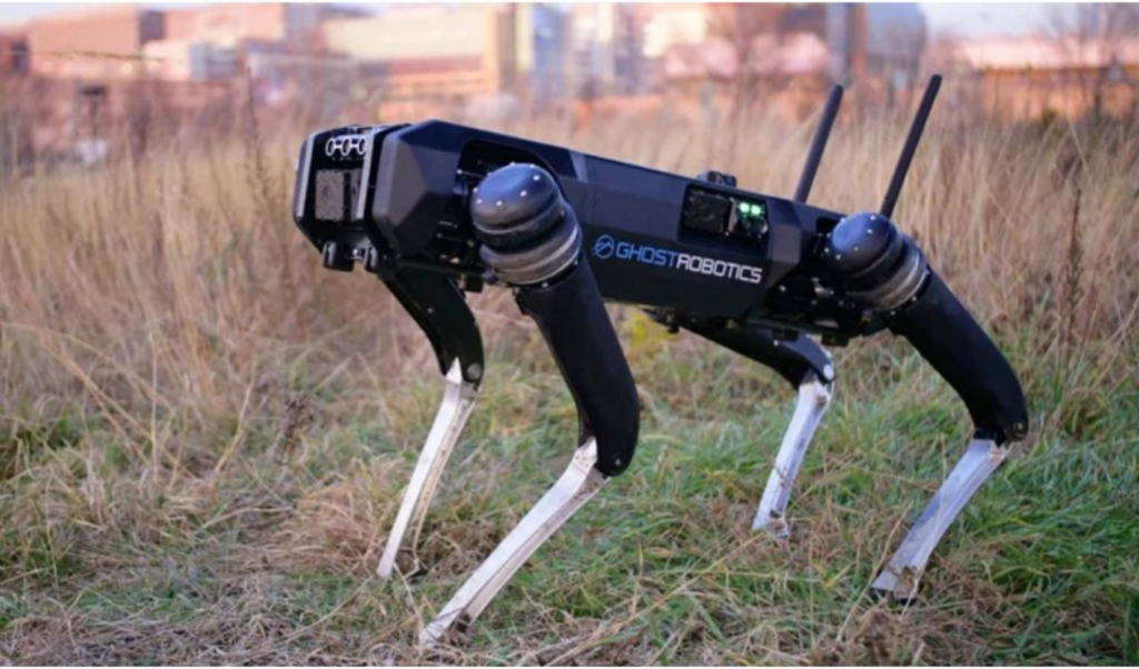 robot dogs join world cup security Robot Dogs Join World Cup Security