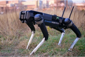 Robot Dogs Join World Cup Security