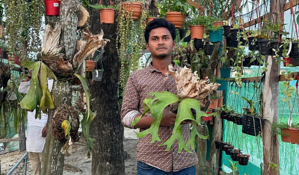 roof garden yields over one lakh annually Roof Garden Yields Over One Lakh Annually