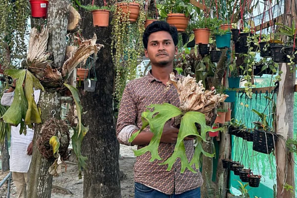 Roof Garden Yields Over One Lakh Annually