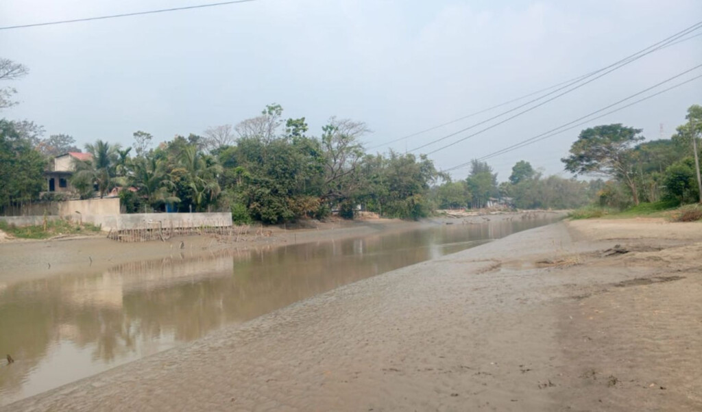 saline intrusion threatens chattograms small feni agriculture Saline Intrusion Threatens Chattogram’s Small Feni Agriculture