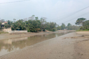 Saline Intrusion Threatens Chattogram’s Small Feni Agriculture