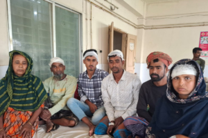 Seven Injured in Duck Dispute Attack