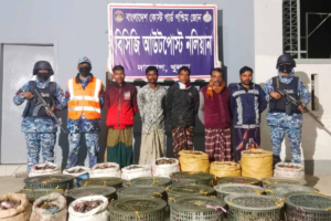 Seven Traders Caught With Illegal Crabs