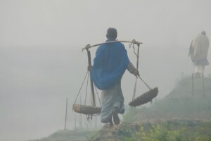 Severe Chill to Grip Four Key Divisions