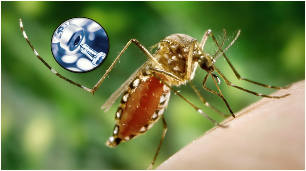 severe side effects united states suspends ixchiq chikungunya vaccine ‘Severe’ Side Effects: United States Suspends Ixchiq Chikungunya Vaccine